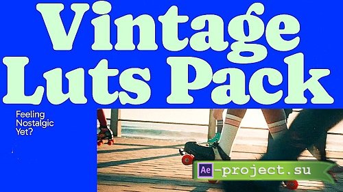 Vintage Luts 3048489 - Premiere Pro/After Effects/FCP/DaVinci Resolve