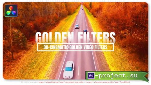 Videohive - 30+ Cinematic Golden Video Filters - For DaVinci Resolve - 56507052