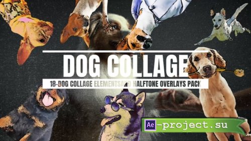 Videohive - 18-dog Collage Elements And Halftone Overlays - 56550773 - Project for After Effects