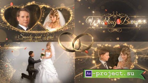 Videohive - Wedding Package - 18844092 - Project for After Effects