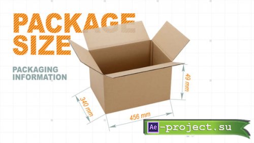 Videohive - Infographic sizes - 56598264 - Project for After Effects