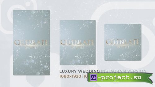 Videohive - Luxury Wedding | Romantic Love Instagram Reel - 56955388 - Project for After Effects