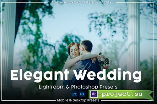 Elegant Wedding Lightroom and Photoshop Presets