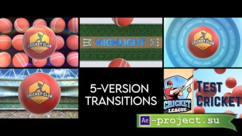 Videohive - Cricket Transitions - 5 Versions - 56901999 - Project for After Effects