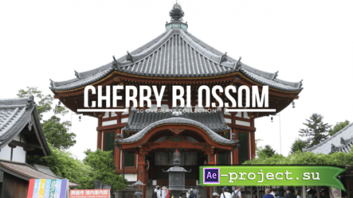 Videohive - 20 Cherry Blossom Overlays | Premiere Pro - 57415999