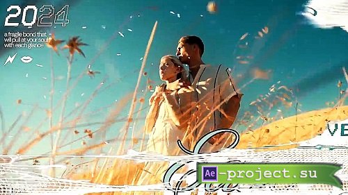 MA Max 3D Transitions 2950022 - Project for After Effects