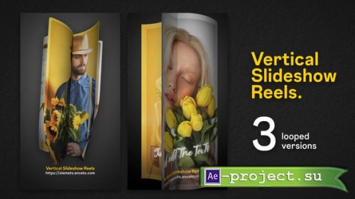 Videohive - Vertical Slideshow Reels - 57575097 - Project for After Effects