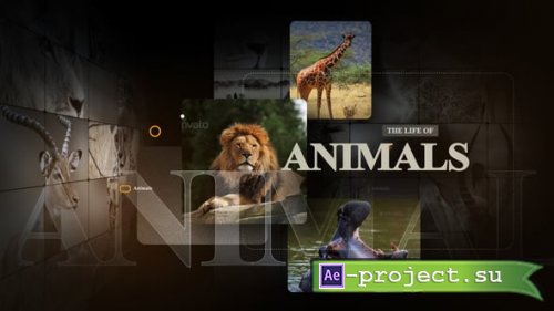 Videohive - African Animals - 55812768 - Project for After Effects
