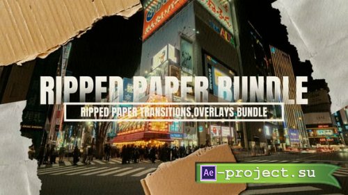 Videohive - Ripped Paper Transitions & Overlays Bundle | PP - 57814661 - Premiere Pro Templates