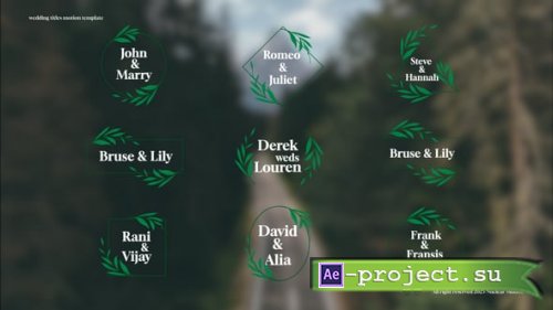 Videohive - Wedding Titles - 57878525 - Project for After Effects