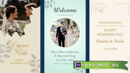 Videohive - Wedding Story - Reels - 57865092 - Project for After Effects
