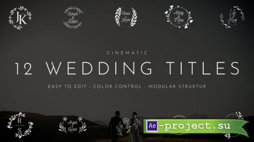 Videohive - Wedding Titles - 57929411 - Project for After Effects