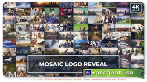 Videohive - Mosaic Photo Logo Reveal - 49459871 - Project for After Effects