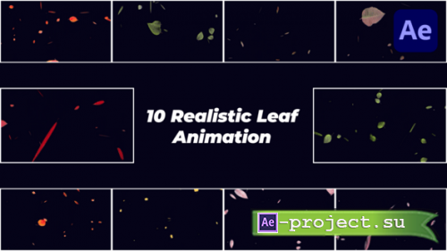 Videohive - Realistic Falling Leaves - 58070175 - Project for After Effects