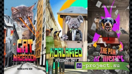Videohive - Collage Zoo Toolkit - 58164165 - Project for After Effects