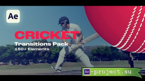 Videohive - Cricket Transitions - 58344945 - Project for After Effects