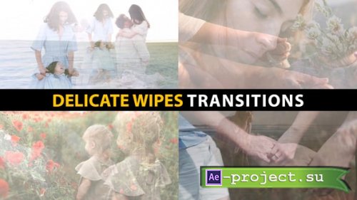 Videohive - Delicate Wipes Transitions | After Effects - 58562167 - Project for After Effects