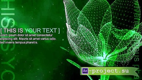 MA Fluid Flower 248491 - Project for After Effects