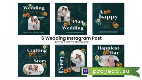 Videohive - Wedding Day Instagram Post - 52297507 - Project for After Effects