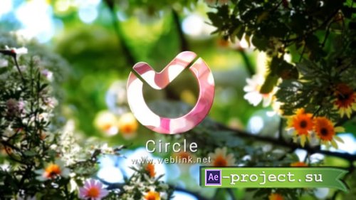 Videohive - Summer Tries Logo 3 - 59053069 - Project for After Effects