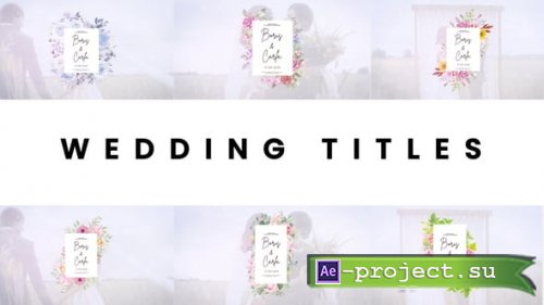 Videohive - Wedding titles - 59106428 - Project for After Effects