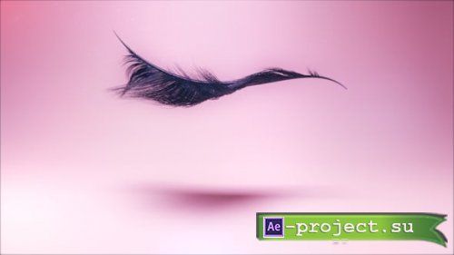 Videohive - Eyelash Logo Ident - 42721287 - Project for After Effects