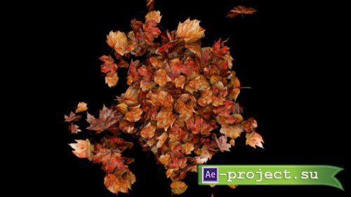 Videohive - Autumn Leaves Particles Burst no Plugins - 59558132 - Project for After Effects