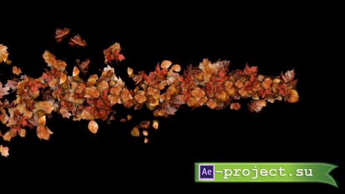 Videohive - Autumn Leaves Particles Motion Path no Plugins - 59610359 - Project for After Effects