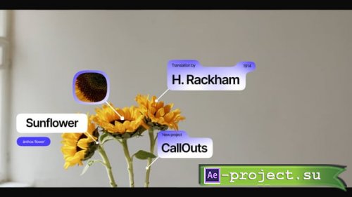 Videohive - CallOuts - 59651754 - Project for After Effects