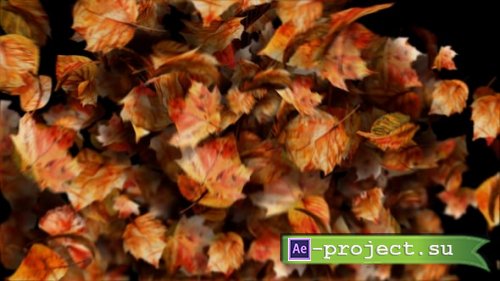 Videohive - Autumn leaves motion path particles. Particular 6 Required! - 59736785 - Project for After Effects