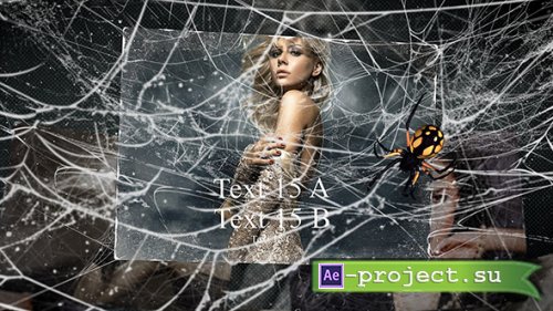 Spiderweb Photo Slideshow - Project for After Effects