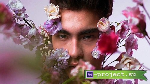 MA Liquid Glass Cards 3891566 - Project for After Effects