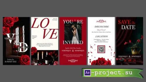 Videohive - Creative Instagram Reels Wedding Invitation - 60150923 - Project for After Effects