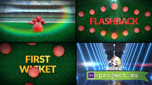 Videohive - Cricket Bumper 5 (3-Bumpers) - 60292841 - Project for After Effects