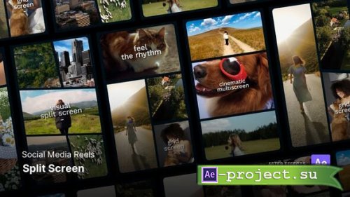 Videohive - Reels - Split Screen After Effects Project Files - 60237952 - Project for After Effects