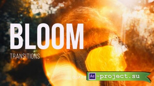 Videohive - Bloom Transitions for After Effects - 60506513 - Project for After Effects