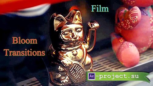 Videohive 60575464 Film Bloom Transitions | Vertical - Apple Motion 5, Final Cut Pro X Videohive 60575464 Film Bloom Transitions | Vertical - Apple Motion 5, Final Cut Pro X