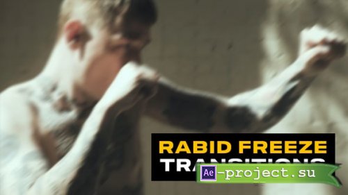 Videohive - Rabid Freeze Transitions | Premiere Pro - 60680980 