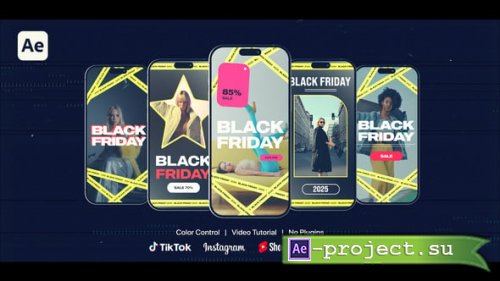 Videohive - Black Friday - TikTok, Reels, Shorts, Stories - 60734496 - Project for After Effects