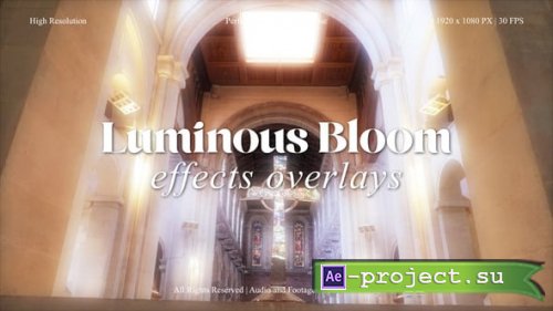 Videohive - Luminous Bloom FX Overlays Pack for After Effects - 60764507