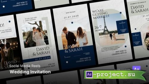 Videohive - Reels - Wedding Invitation - 60795293 - Project for After Effects