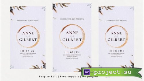Videohive - Vertical Wedding Intro - 60856754 - Project for After Effects