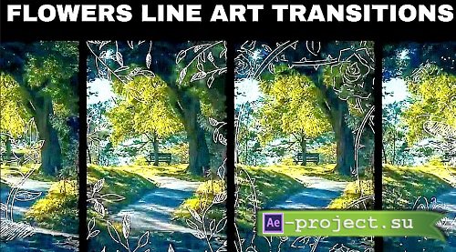 MA Flowers Line Art Transition 3922507 - Project for After Effects MA Flowers Line Art Transition 3922507 - Project for After Effects