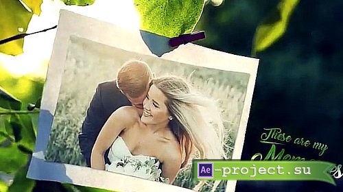 Summer Afternoon Photo Slide 17783312 - Project for After Effects Summer Afternoon Photo Slide 17783312 - Project for After Effects