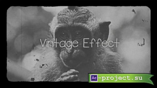 Videohive - Vintage Effect - 61046501 - Project for After Effects