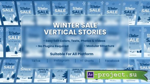 Videohive - Winter Season Sale Social Media Stories - 60840919 - Project for After Effects