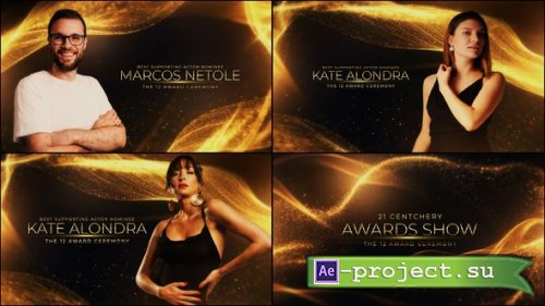 Videohive -  Awards - 61187779 - Project for After Effects