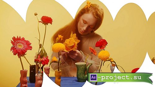 MA Modern Frames 3918513 - Project for After Effects