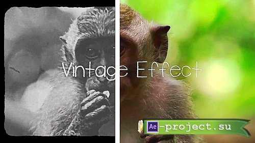 Videohive - Vintage Effect 61242156 - Apple Motion 5, Final Cut Pro X 