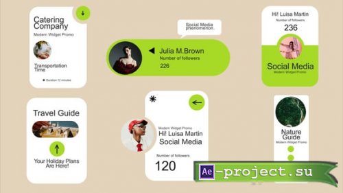 Videohive - Widgets - 61382503 - Project for After Effects